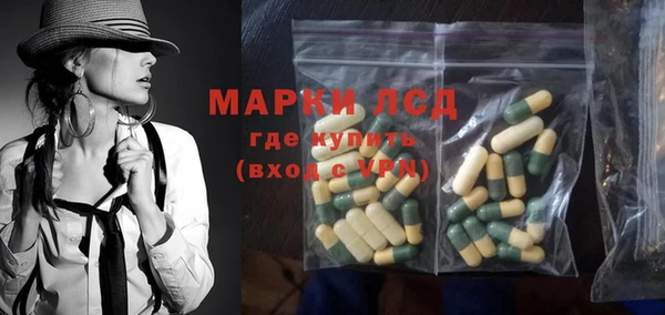 гидра Новодвинск