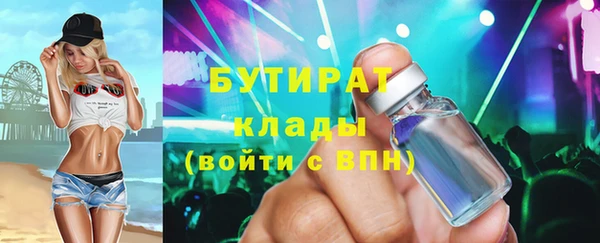 гидра Новодвинск