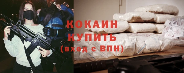 гидра Новодвинск