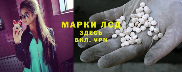 гидра Новодвинск