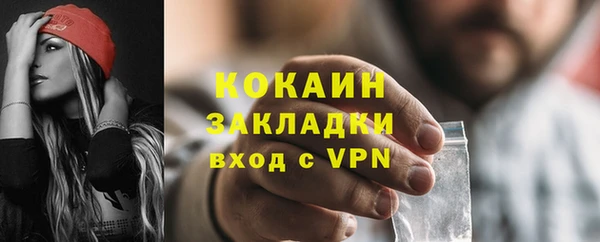 гидра Новодвинск