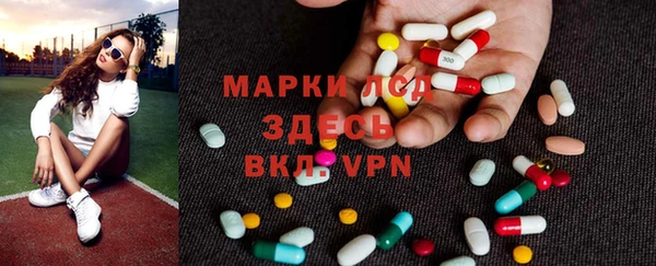 гидра Новодвинск