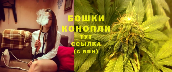 гидра Новодвинск