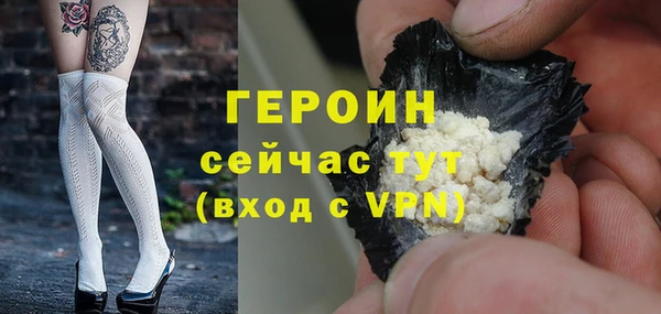 гидра Новодвинск