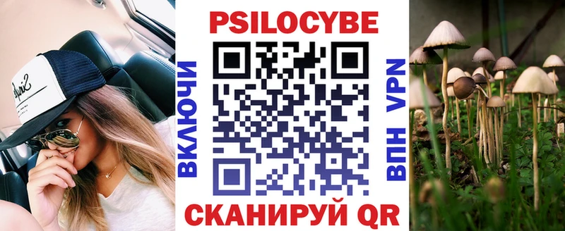 купить наркотик  Солнечногорск  Псилоцибиновые грибы Psilocybe 