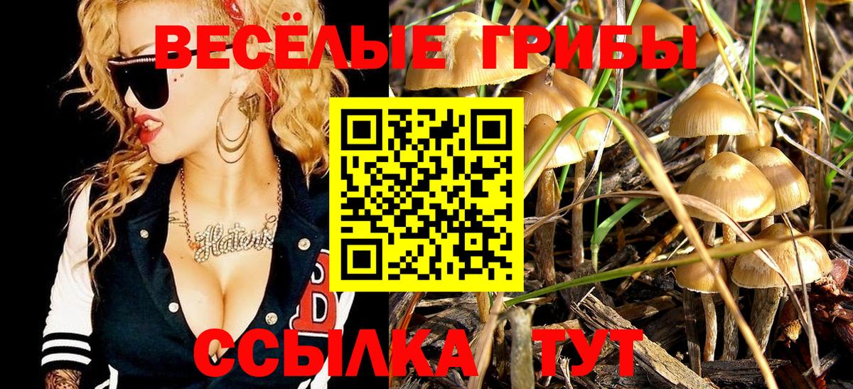 Галлюциногенные грибы Psilocybe  хочу наркоту  Солнечногорск 