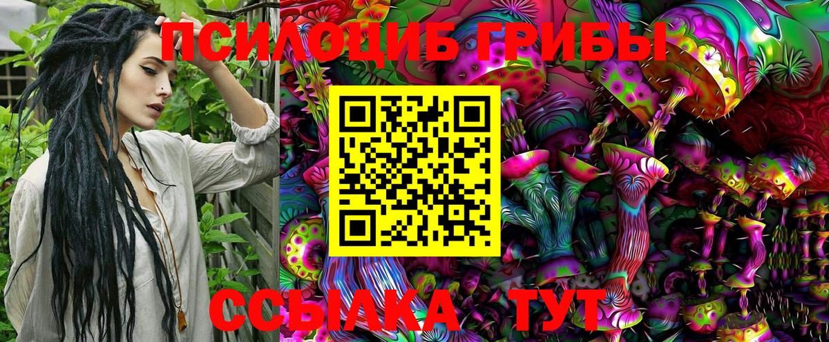 Псилоцибиновые грибы Magic Shrooms  Псилоцибиновые грибы ЛСД  Солнечногорск  Вход с VPN 